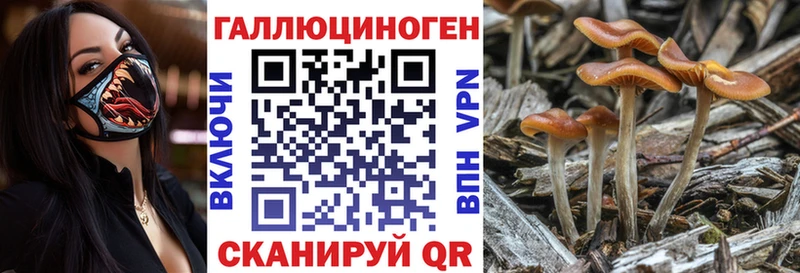 Купить  Киров  Галлюциногенные грибы прущие грибы 